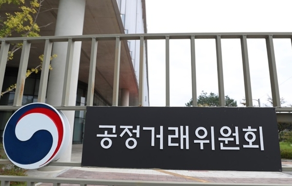 "총수일가 권한은 커지는데… 책임은 비껴간다"