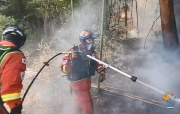 산불 번지기 전에 막는다…소방청·한국화재보험협회, 취약가구 '자동소화망' 구축